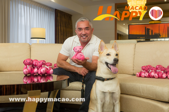 World-renowned_dog_trainer_Cesar_Millan_shows_his_support_for_Conrad_Macaos_PINK_Inspired_2015_campaign