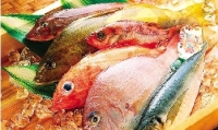 常食魚 促健康 