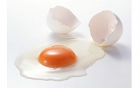 警惕!吃雞蛋也需要禁忌，吃錯了就會變成“毒品”