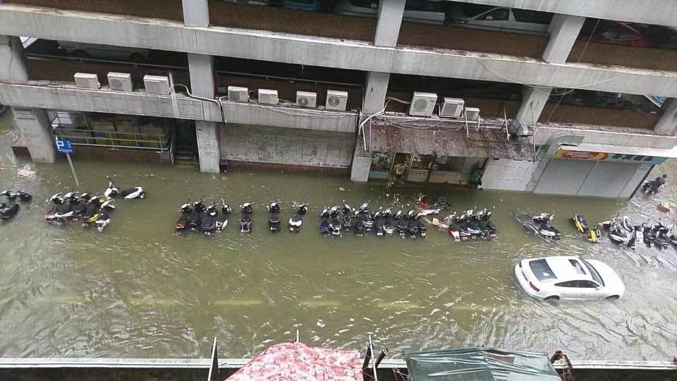 21077652_1744237698950213_2505844192384574432_n