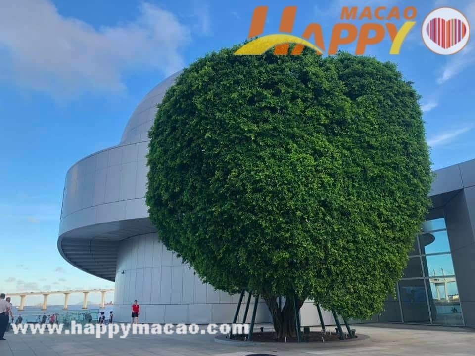 445538565_3841204819496716_6724070331675911762_n