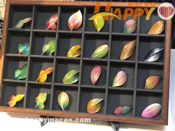 312145724_8902169496490295_219563442965104616_n_1