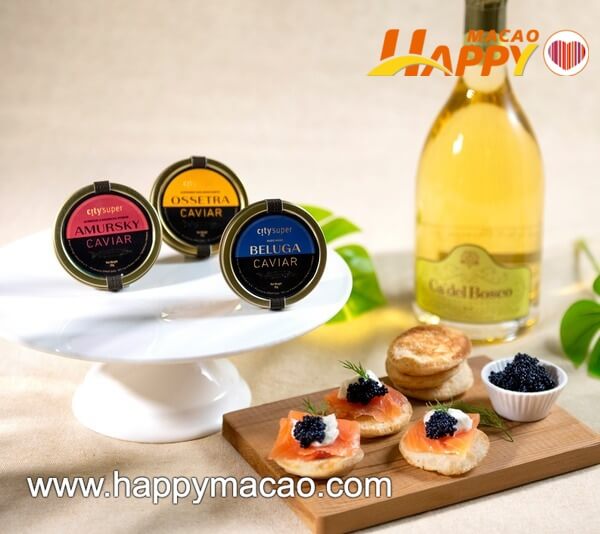 127278851_5421939264513353_1384508284298310538_o_1_1_1