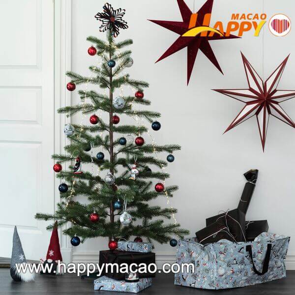 124429682_5358836407490306_7450963242589924815_o_1_1_1