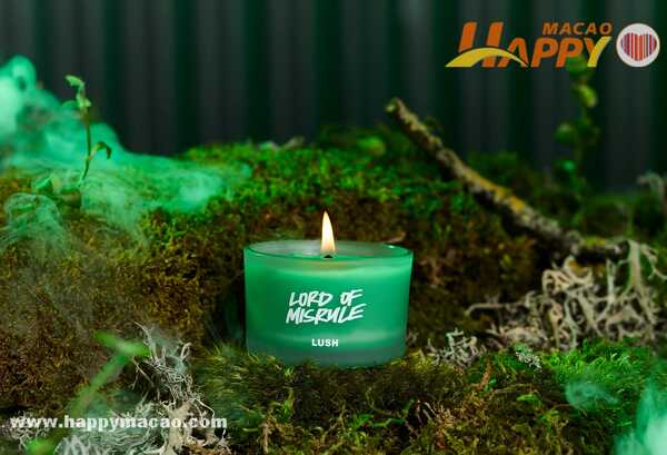 311432391_8902015373172374_143846487383497126_n_1