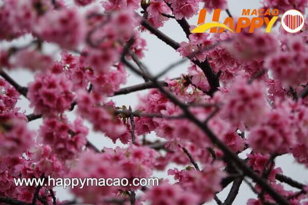 F605228C-475F-481C-B089-62415F5ED0CC