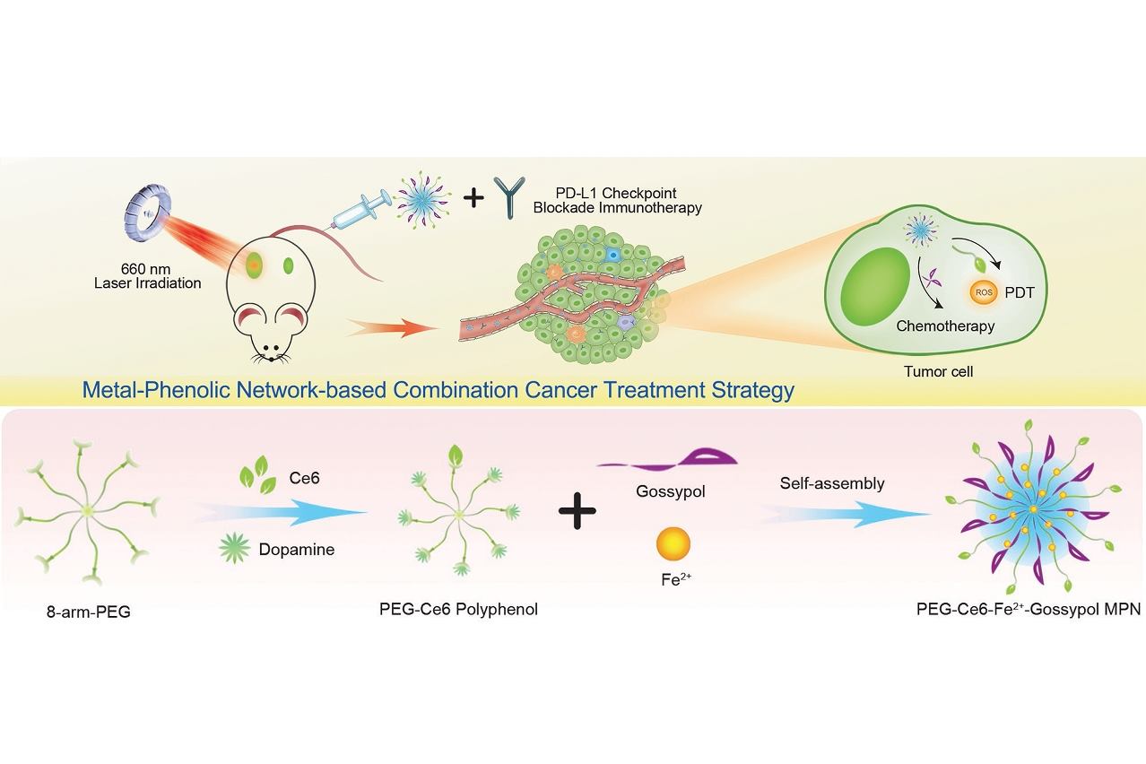 122988478_5305771452796802_902993835631667691_o