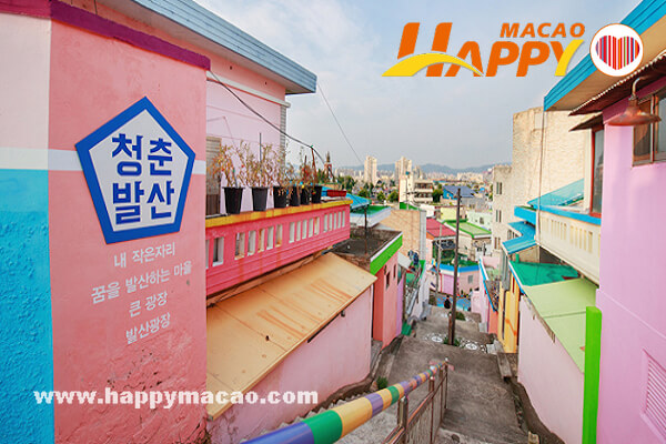 PR_summerfestival13_1