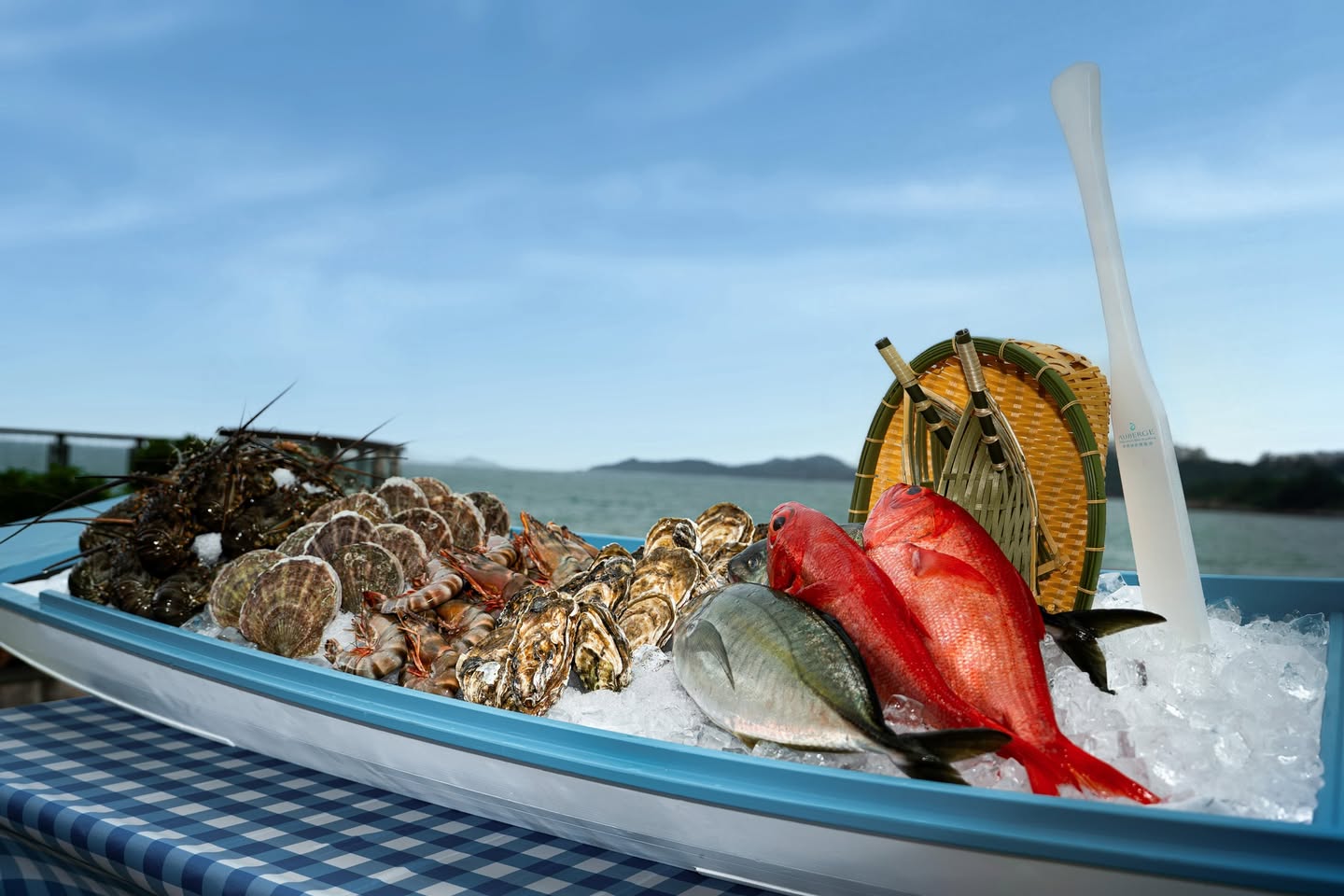 603793647_33807740602173173_6462133912570245263_n