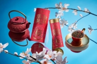 櫻之頌致敬春日花見