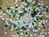 Diptyque夏季必備單品