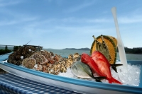 愉景灣週日自助早午餐