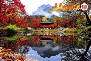 韓國紅葉開放預測2019 - 全羅南道