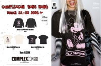 PUNK ！粉墨登場