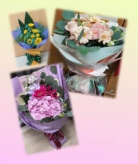 市政署6月興趣班